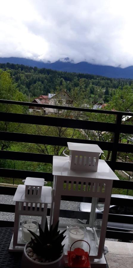Villa Maya Borsa  Kültér fotó