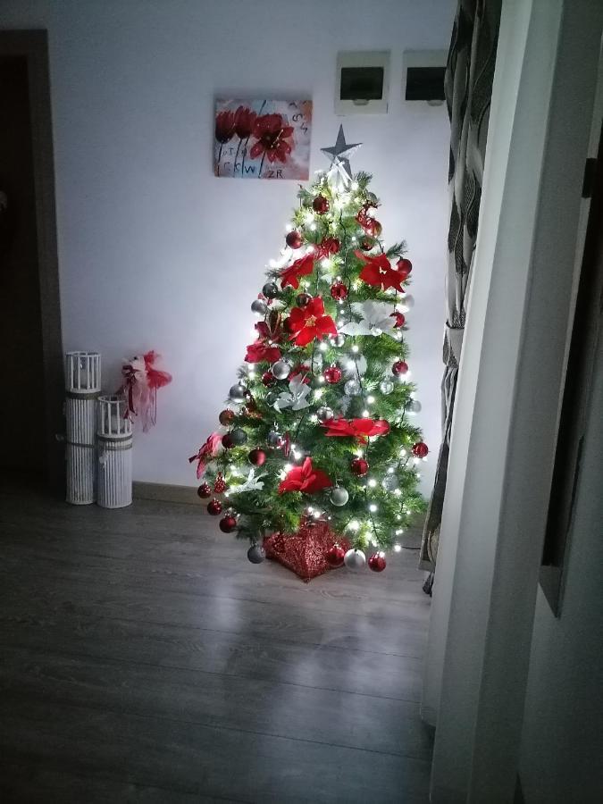 Villa Maya Borsa  Kültér fotó
